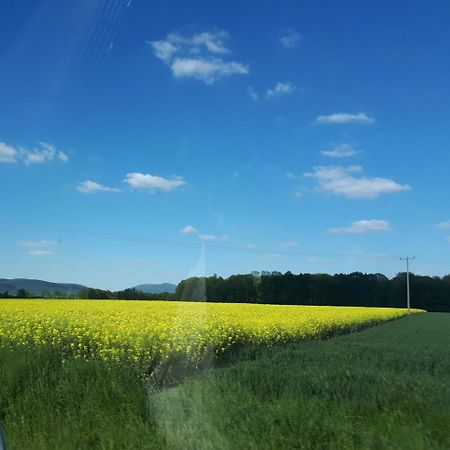 Agroturystyka "Jagap" Oaza Spokoju Dzierżoniów Exteriör bild
