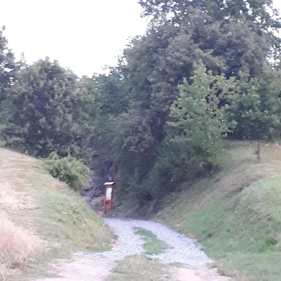 Agroturystyka "Jagap" Oaza Spokoju Dzierżoniów Exteriör bild