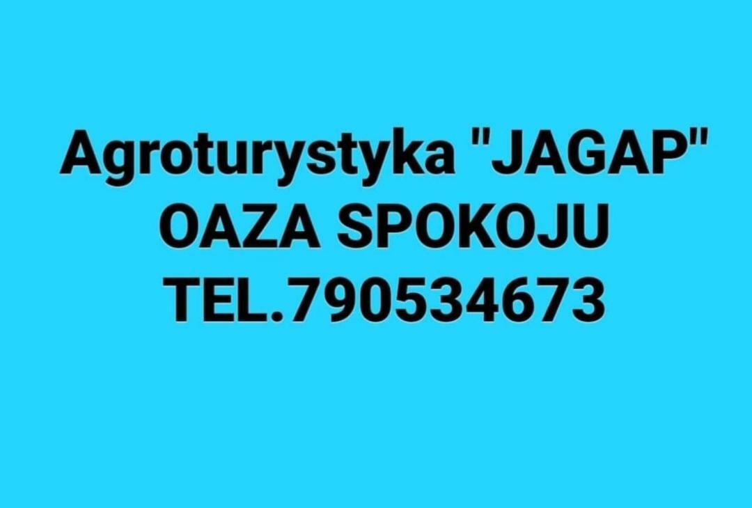 Agroturystyka "Jagap" Oaza Spokoju Dzierżoniów Exteriör bild