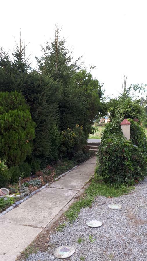 Agroturystyka "Jagap" Oaza Spokoju Dzierżoniów Exteriör bild